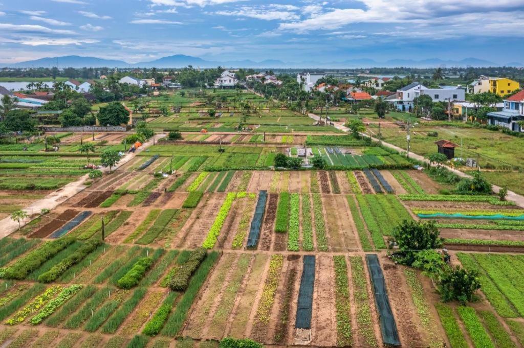 Hoi An Ht Villa And Hostel Bagian luar foto